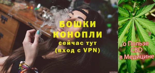 трава Горнозаводск