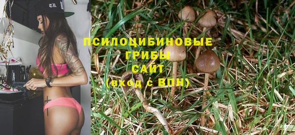соль курить ск Михайлов