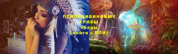 трава Горнозаводск
